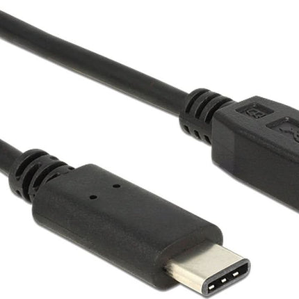 Delock Mini-USB naar USB-C verloopkabel - USB 2.0 - Zwart - 1 meter