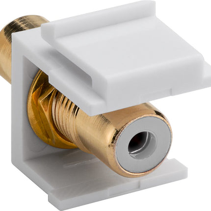 RCA vrouwelijk / Tulp keystone - Wit (linker kanaal) - Gold-plated - Wit