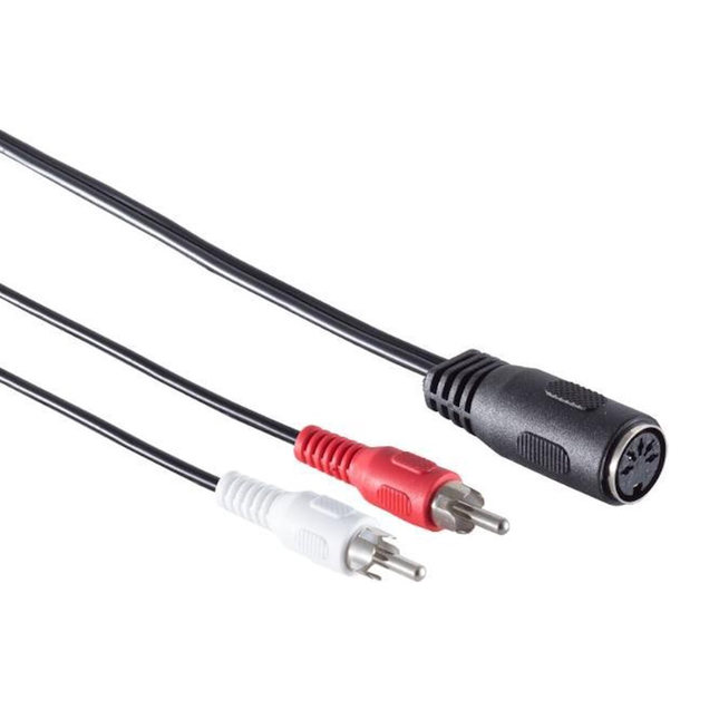 Din 5-pins (v) naar 2x RCA stereo (m) audioadapter (opnemen) - 20 cm - Zwart