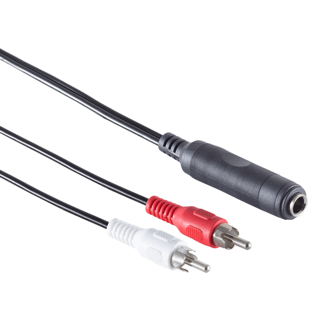 6,3 mm Jack (Vrouwelijk) naar 2x RCA (Mannelijk) Audio Adapterkabel - 20 cm - Zwart