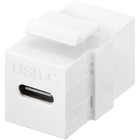 USB C keystone - USB C female naar USB C female USB 3.2 - 10 Gbit - PD 100 watt - Wit