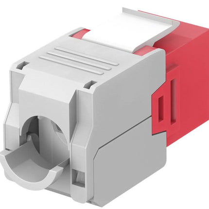 Cat 6a keystone - Rood