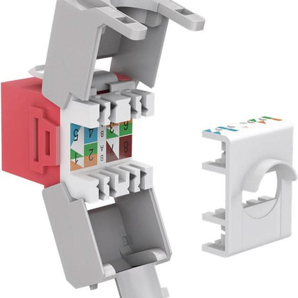 Cat 6a keystone - Rood