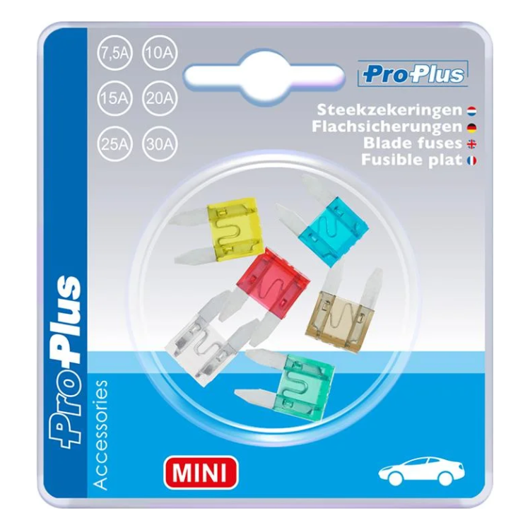 PAT-ZKR-MN-ASS-6 Steekzekeringen Mini - Assortiment 6 stuks in blister